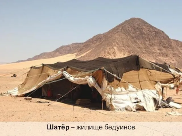 Шатёр – жилище бедуинов