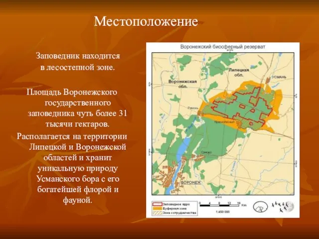 Заповедник находится в лесостепной зоне. Площадь Воронежского государственного заповедника чуть