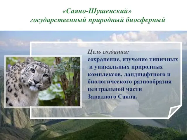 «Саяно-Шушенский» государственный природный биосферный Цель создания: сохранение, изучение типичных и