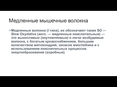 Медленные мышечные волокна Медленные волокна (I типа), их обозначают также