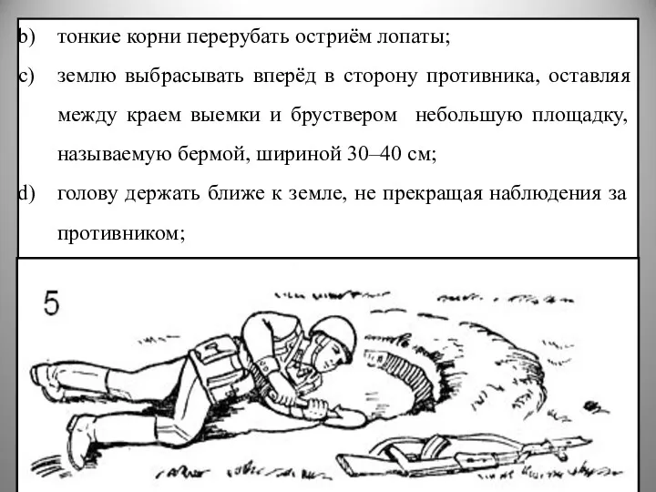 тонкие корни перерубать остриём лопаты; землю выбрасывать вперёд в сторону