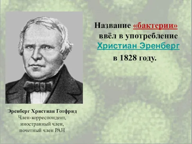 Название «бактерии» ввёл в употребление Христиан Эренберг в 1828 году. Эренберг Христиан Готфрид