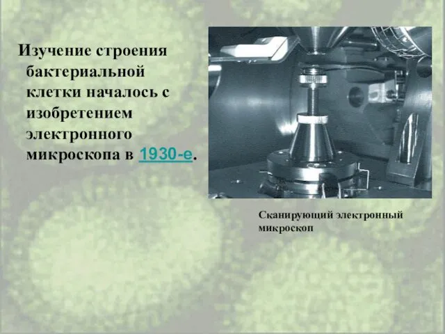 Изучение строения бактериальной клетки началось с изобретением электронного микроскопа в 1930-е. Сканирующий электронный микроскоп