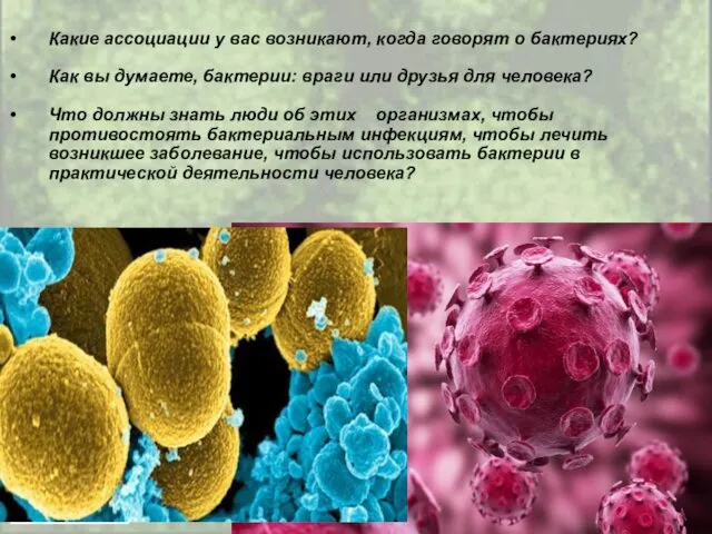 Какие ассоциации у вас возникают, когда говорят о бактериях? Как вы думаете, бактерии: