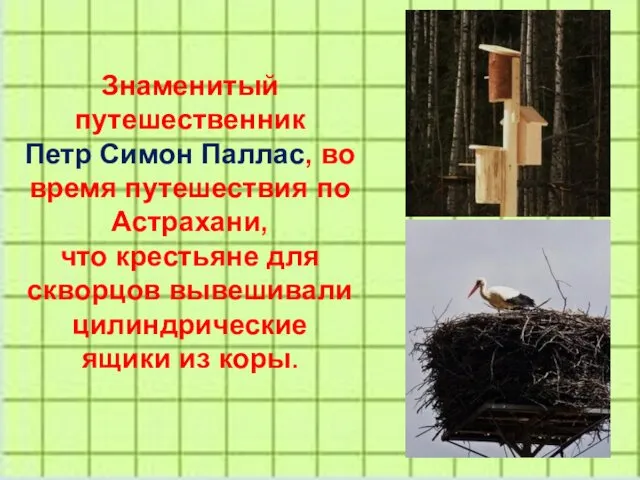 Знаменитый путешественник Петр Симон Паллас, во время путешествия по Астрахани,