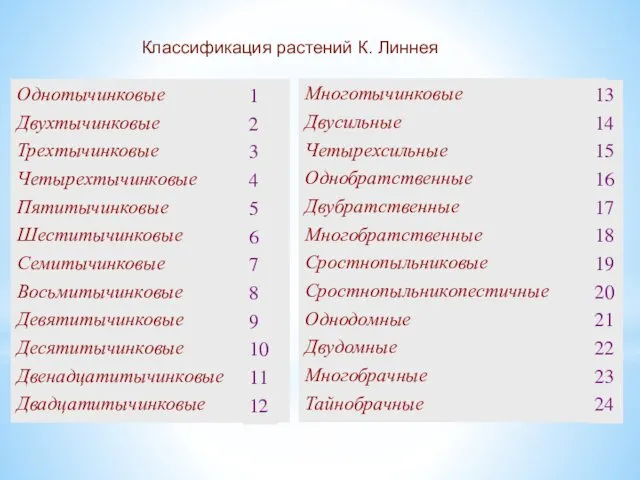 Классификация растений К. Линнея Однотычинковые Двухтычинковые Трехтычинковые Четырехтычинковые Пятитычинковые Шеститычинковые