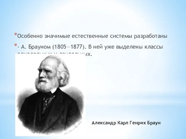 Особенно значимые естественные системы разработаны - А. Брауном (1805—1877). В