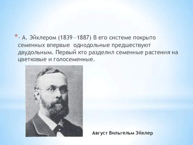- А. Эйхлером (1839—1887) В его системе покрыто­семенных впервые однодольные