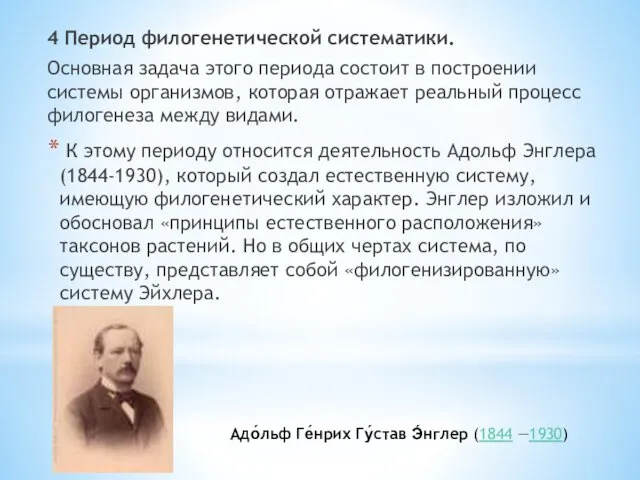 4 Период филогенетической систематики. Основная задача этого периода состоит в