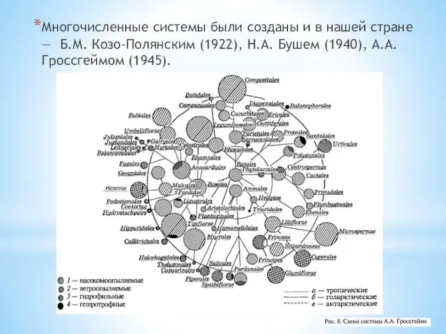 Многочисленные системы были созданы и в нашей стране — Б.М.