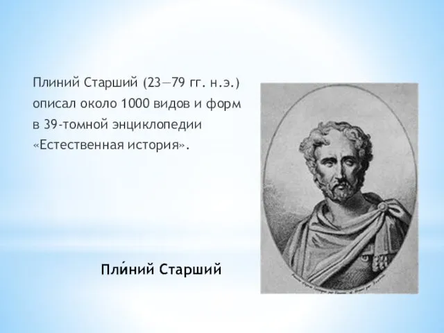 Плиний Старший (23—79 гг. н.э.) описал около 1000 видов и