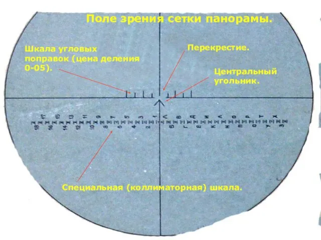 Поле зрения сетки панорамы. Перекрестие. Центральный угольник. Шкала угловых поправок (цена деления 0-05). Специальная (коллиматорная) шкала.