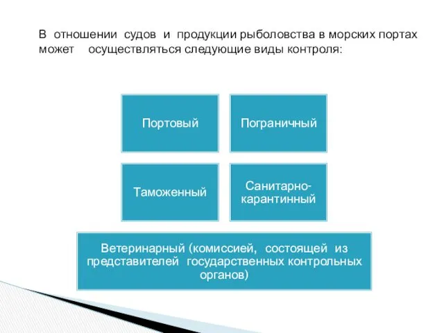 В отношении судов и продукции рыболовства в морских портах может осуществляться следующие виды контроля: