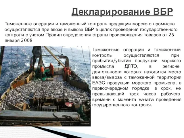 Декларирование ВБР Таможенные операции и таможенный контроль продукции морского промысла