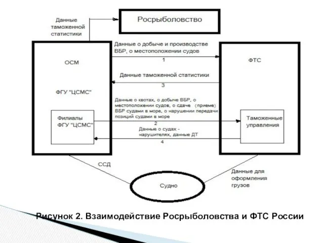 Рисунок 2. Взаимодействие Росрыболовства и ФТС России