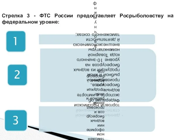 Стрелка 3 - ФТС России предоставляет Росрыболовству на федеральном уровне: