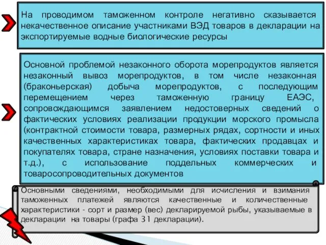 На проводимом таможенном контроле негативно сказывается некачественное описание участниками ВЭД