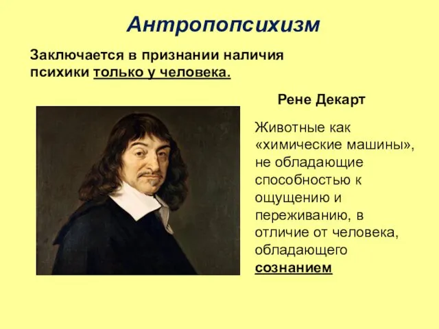 Антропопсихизм Рене Декарт Заключается в признании наличия психики только у