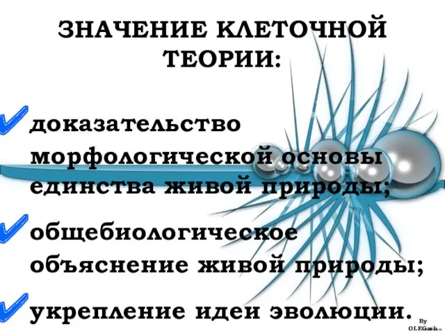 ЗНАЧЕНИЕ КЛЕТОЧНОЙ ТЕОРИИ: доказательство морфологической основы единства живой природы; общебиологическое