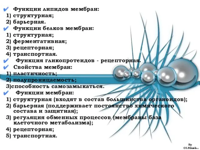 Функции липидов мембран: 1) структурная; 2) барьерная. Функции белков мембран: