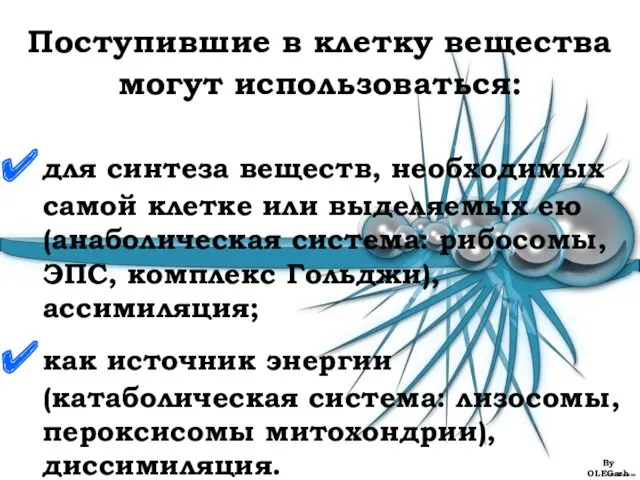 Поступившие в клетку вещества могут использоваться: для синтеза веществ, необходимых