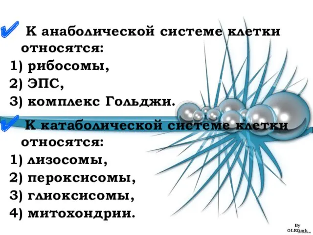 К анаболической системе клетки относятся: 1) рибосомы, 2) ЭПС, 3)