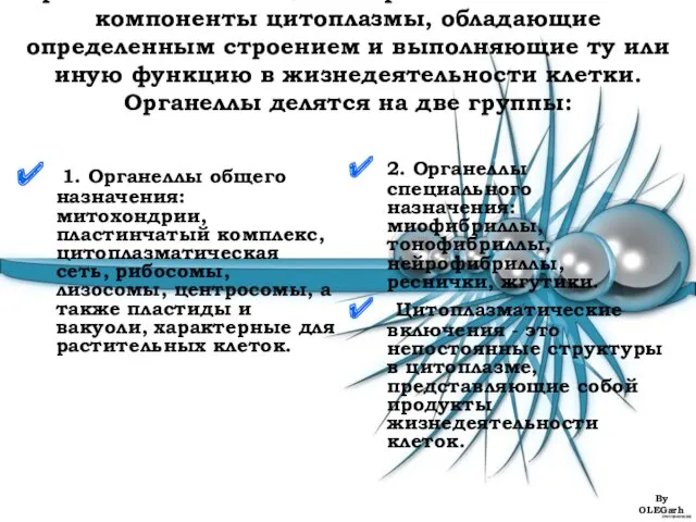 Органеллы - это специализированные постоянные компоненты цитоплазмы, обладающие определенным строением