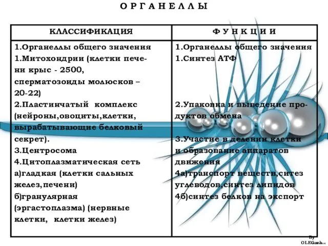 О Р Г А Н Е Л Л Ы By OLEGarh