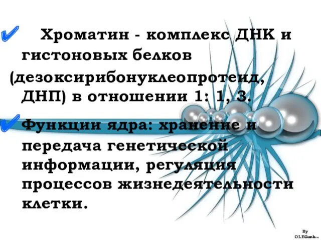 Хроматин - комплекс ДНК и гистоновых белков (дезоксирибонуклеопротеид, ДНП) в