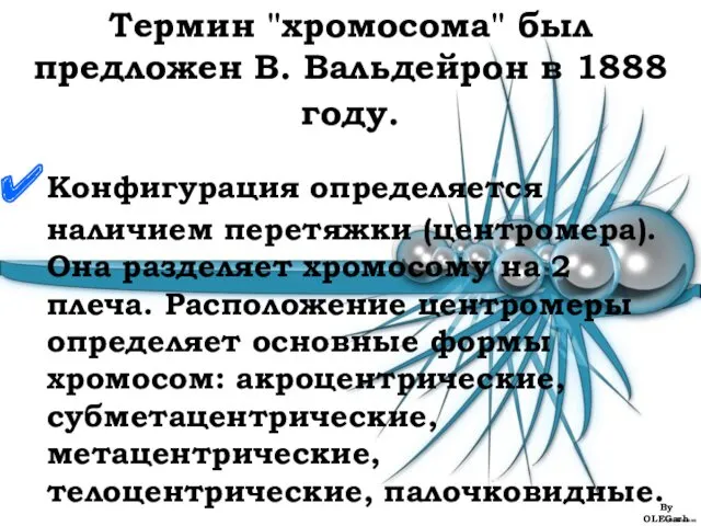 Термин "хромосома" был предложен В. Вальдейрон в 1888 году. Конфигурация