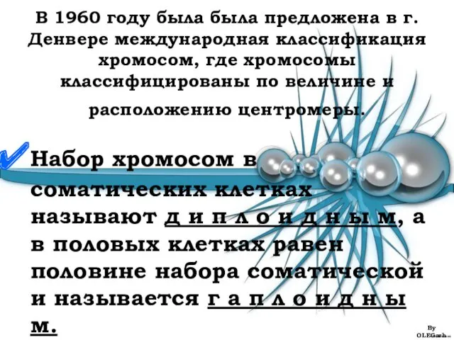 В 1960 году была была предложена в г. Денвере международная