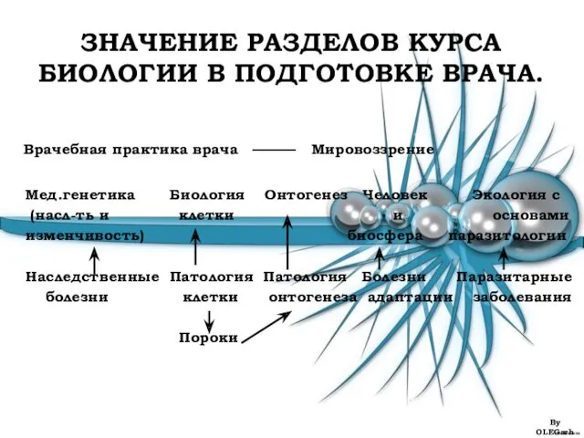 ЗНАЧЕНИЕ РАЗДЕЛОВ КУРСА БИОЛОГИИ В ПОДГОТОВКЕ ВРАЧА. Врачебная практика врача