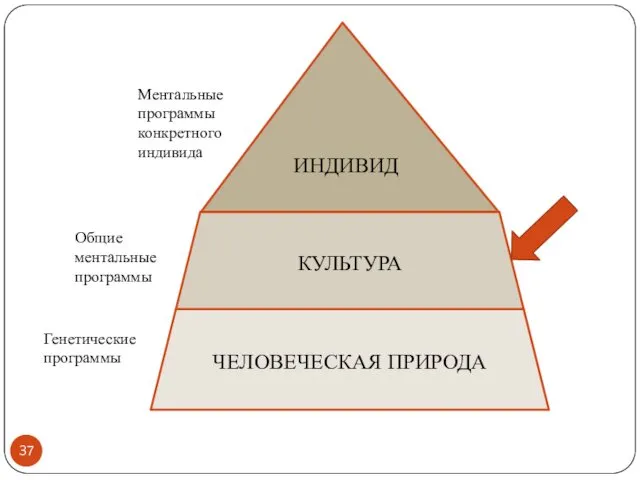 ЧЕЛОВЕЧЕСКАЯ ПРИРОДА КУЛЬТУРА ИНДИВИД Общие ментальные программы Генетические программы Ментальные программы конкретного индивида