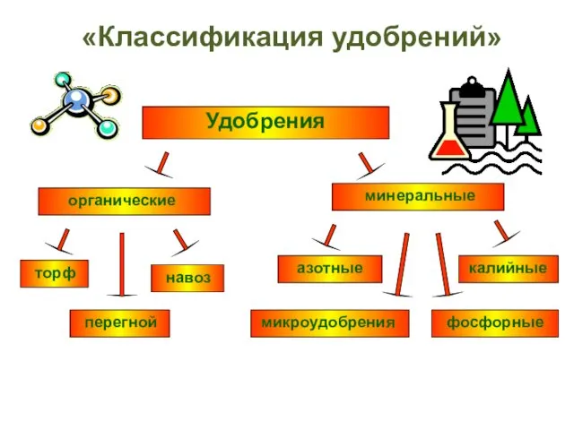 «Классификация удобрений» Удобрения органические минеральные торф навоз перегной азотные калийные фосфорные микроудобрения