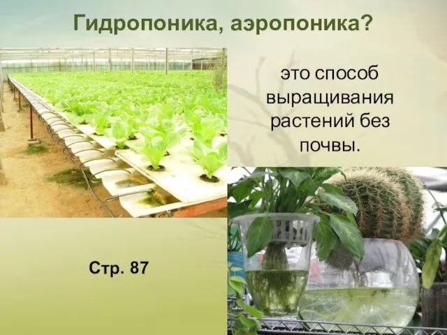 это способ выращивания растений без почвы. Гидропоника, аэропоника? Стр. 87