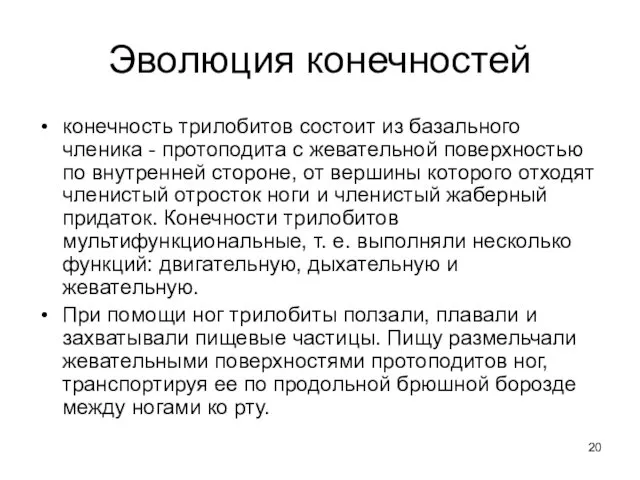 Эволюция конечностей конечность трилобитов состоит из базального членика - протоподита