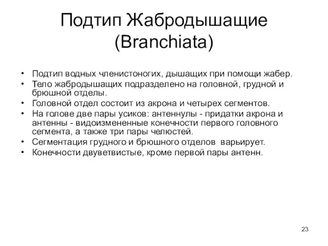 Подтип Жабродышащие (Branchiata) Подтип водных членистоногих, дышащих при помощи жабер.