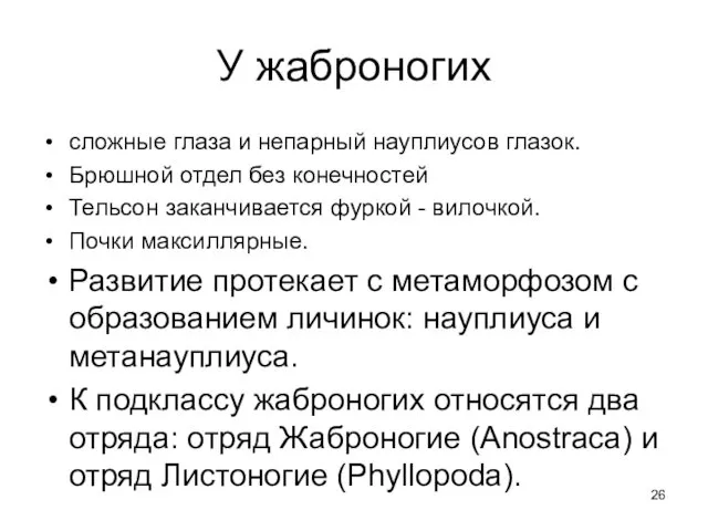 У жаброногих сложные глаза и непарный науплиусов глазок. Брюшной отдел