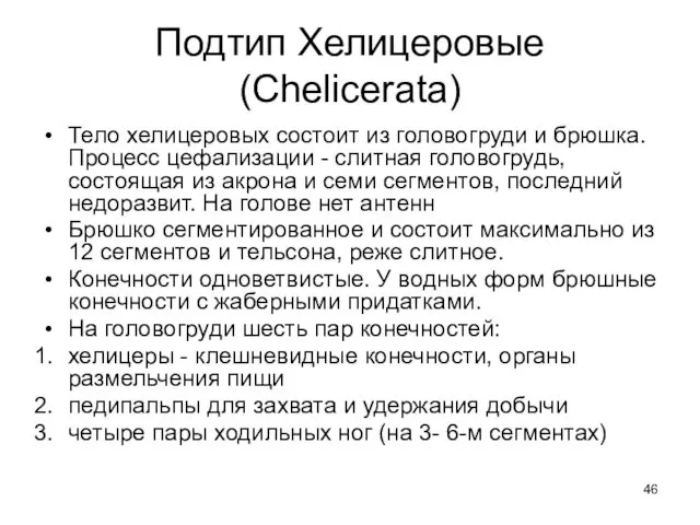 Подтип Хелицеровые (Chelicerata) Тело хелицеровых состоит из головогруди и брюшка.