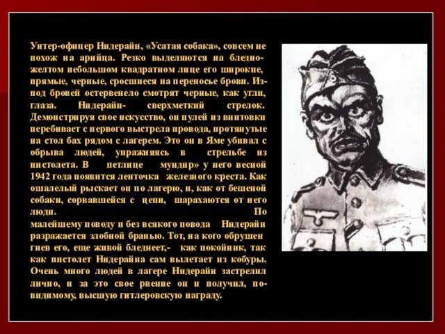 Унтер-офицер Нидерайн, «Усатая собака», совсем не по­хож на арийца. Резко