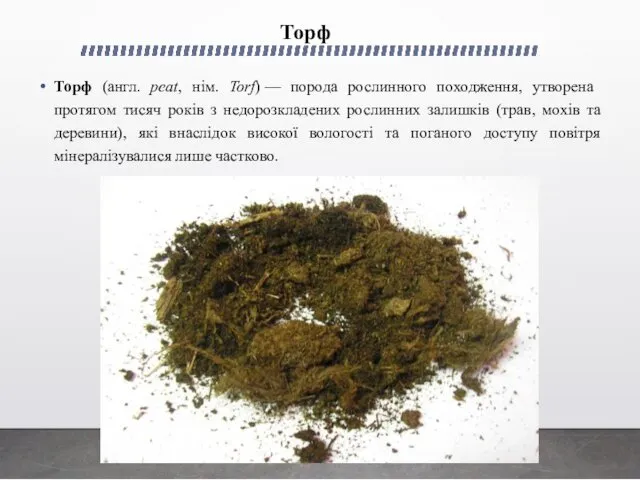 Торф Торф (англ. peat, нім. Torf) — порода рослинного походження,