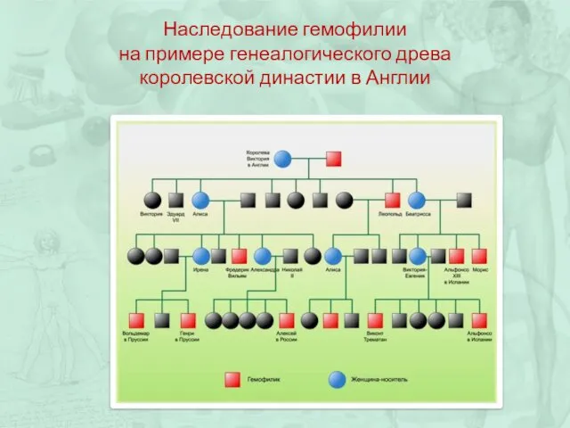 Наследование гемофилии на примере генеалогического древа королевской династии в Англии