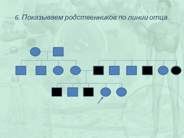 6. Показываем родственников по линии отца.