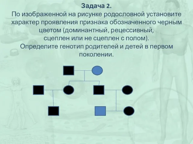 Задача 2. По изображенной на рисунке родословной установите характер проявления