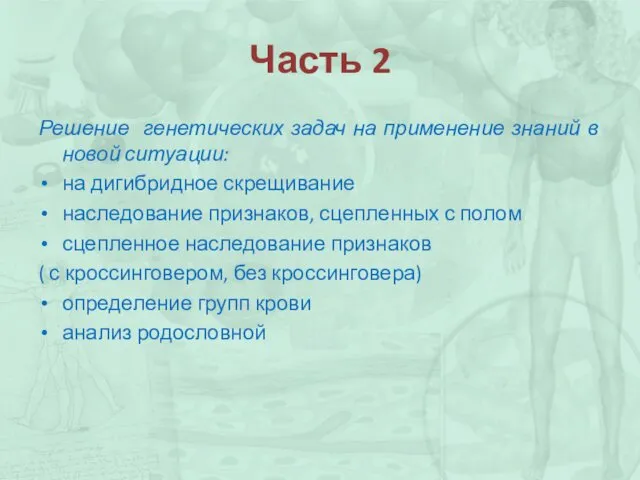 Часть 2 Решение генетических задач на применение знаний в новой