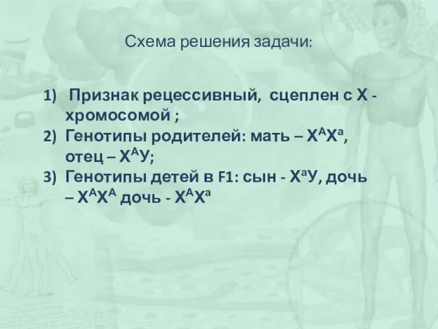 Схема решения задачи: Признак рецессивный, сцеплен с Х - хромосомой