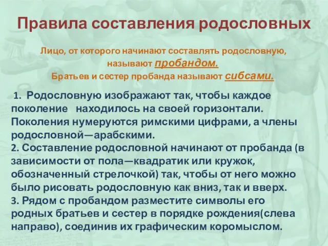 Правила составления родословных 1. Родословную изображают так, чтобы каждое поколение