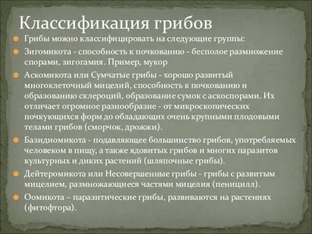 Грибы можно классифицировать на следующие группы: Зигомикота - способность к