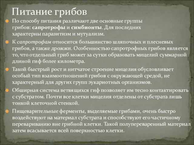 По способу питания различают две основные группы грибов: сапротрофы и