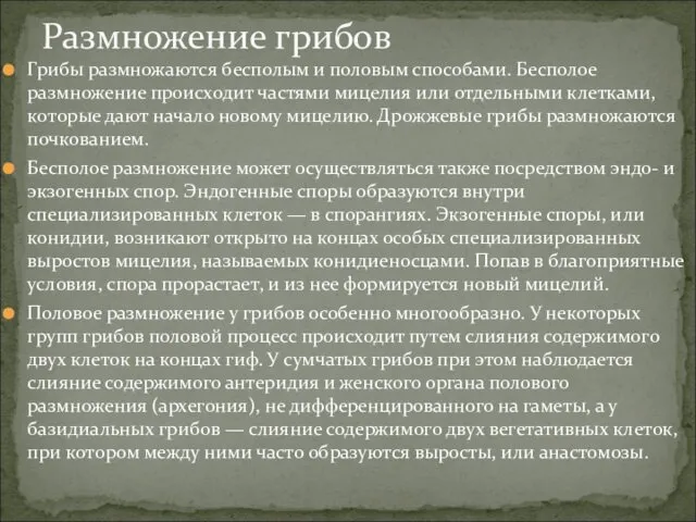 Грибы размножаются бесполым и половым способами. Бесполое размножение происходит частями